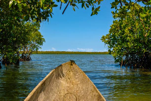 Aventure et immersion culturelle
